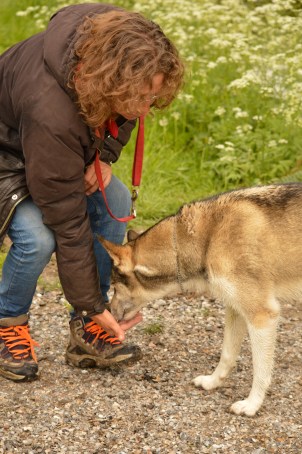 2016-05-20 Leeuwarder Bos (20)