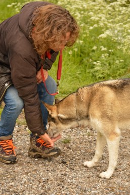 2016-05-20 Leeuwarder Bos (20)